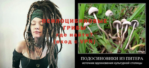 а пвп мука Алексеевка